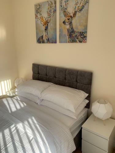 Hotel Smeaton Street Accommodation