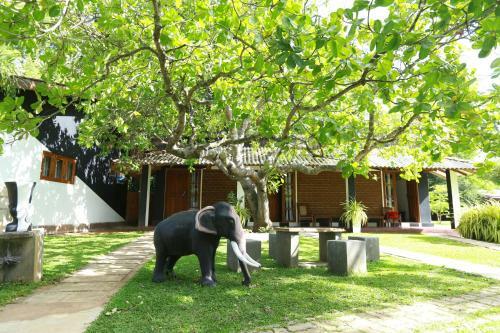 Eco Hotel Black & White - Anuradhapura