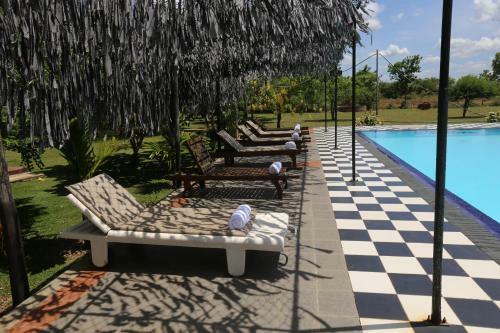 Eco Hotel Black & White - Anuradhapura