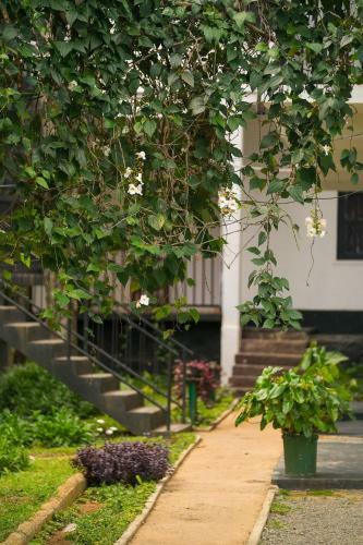 Hostal Ella Forest Paradise Hotel