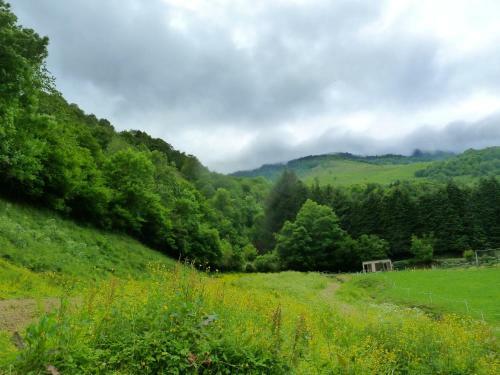 Bed & Breakfast Maison Bergoun