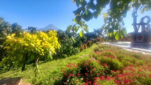 Blessing Hills Family Resort & Hotel