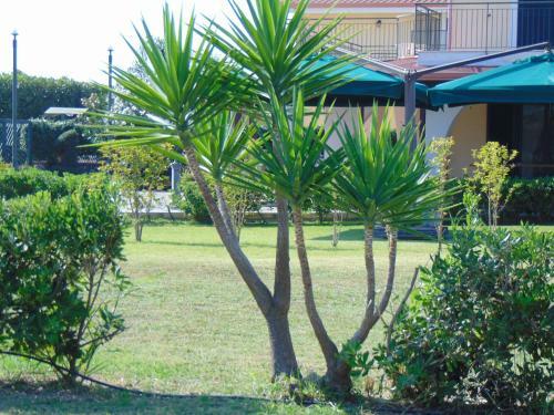 Villa Celeste B&B