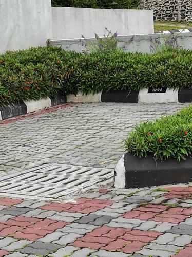 Hostal Barakah Sufi Homestay 2