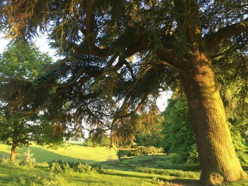 Cosy, Historic, Pet Friendly Cottage, Petworth