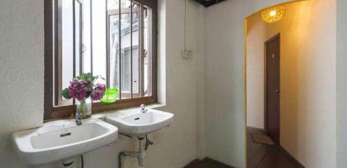 Hostal Cocoa Mews Cafe And Homestay
