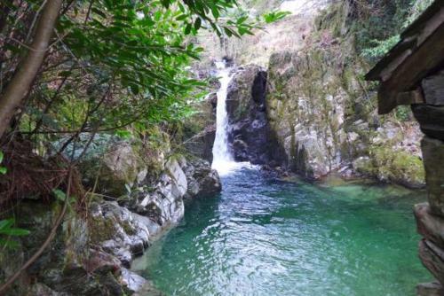 Cabin 3