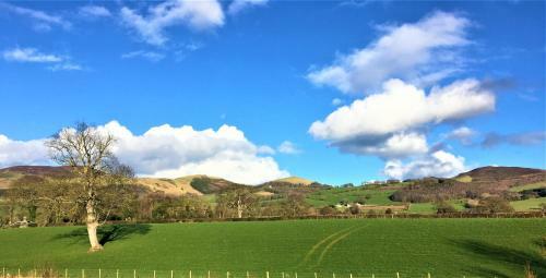 Heron's View