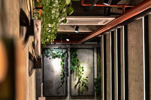Zone Hotel Ipoh
