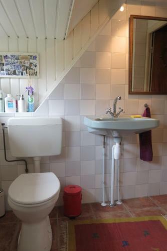 Bed & Breakfast Villa Zomerdijk