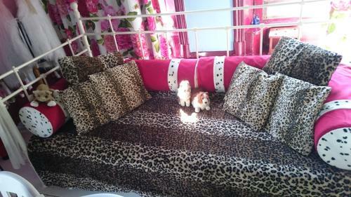 Bed & Breakfast Koningin Van Pieterburen