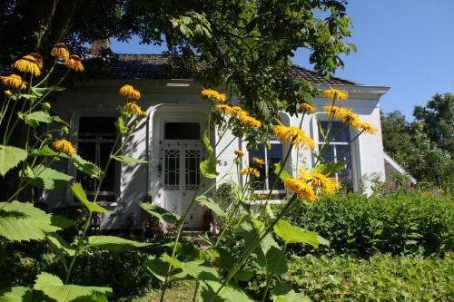 Bed & Breakfast Koningin Van Pieterburen