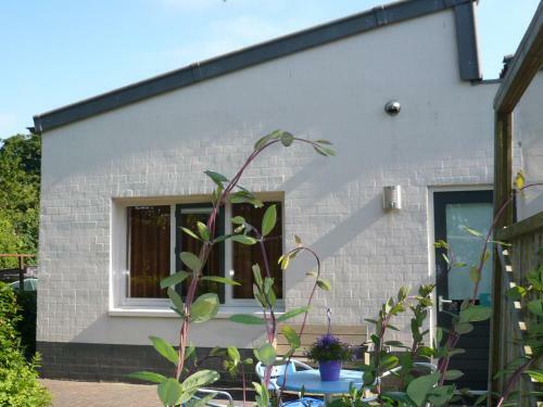 Bed & Breakfast Waddenhoes Gastenverblijven