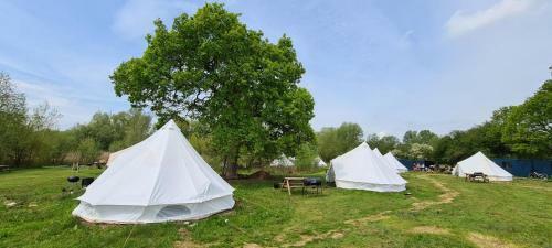 4 Meter Bell Tent - Up To 4 Persons Glamping 13