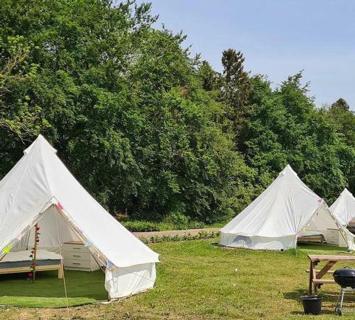 4 Meter Bell Tent - Up To 4 Persons Glamping 8