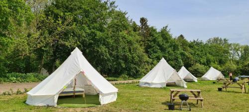 4 Meter Bell Tent - Up To 4 Persons Glamping 10