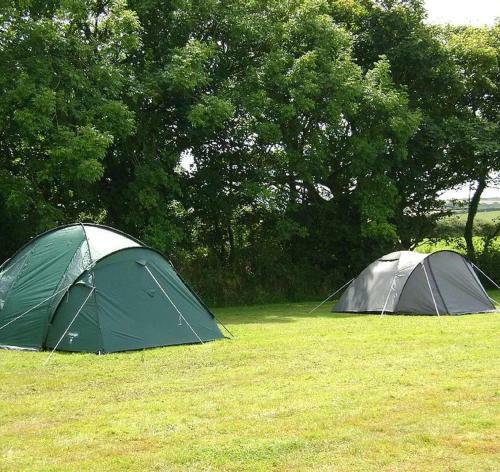 Personal Pitch Tent 6 Persons Glamping 8