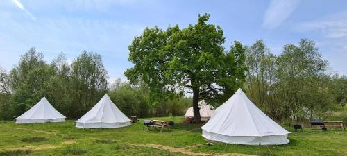 4 Meter Bell Tent - Up To 4 Persons Glamping 11