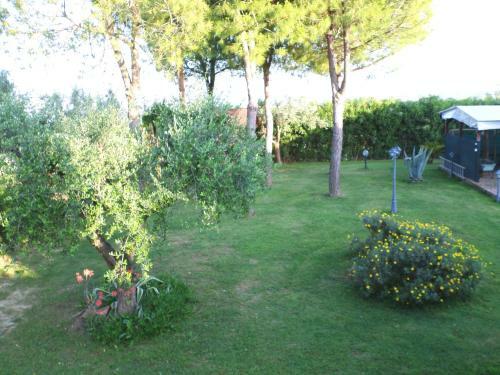Bed And Breakfast Villa Algi
