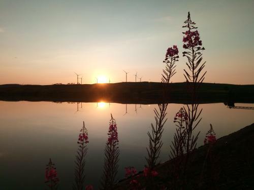 Apartamento Buckieburn - Self-catering - Rural