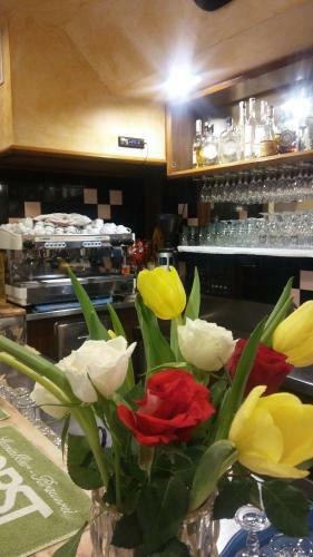 Hotel Tolin