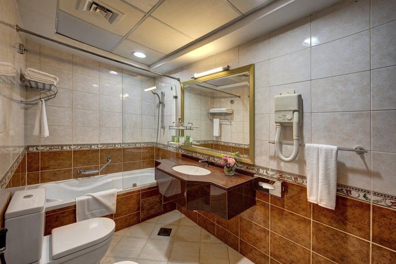 Hotel Howard Johnson Plaza By Wyndham Dubai