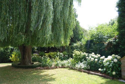 Bed & Breakfast Demeure Des Buis