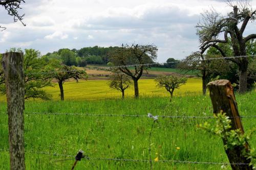 Bed & Breakfast La Maison De Printemps