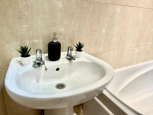 Entire Central Windsor Apartment With Free Parking!
