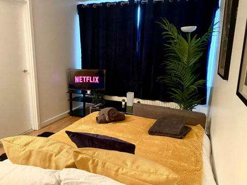 Entire Central Windsor Apartment With Free Parking!