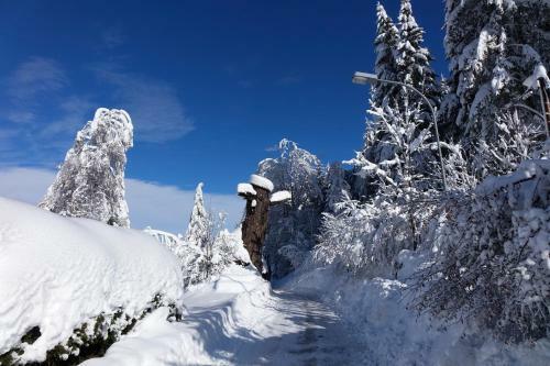 Apartamento Haus Alpengluehn