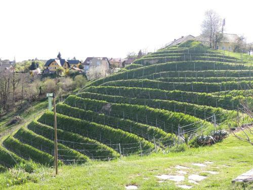 Bed & Breakfast Weingut Albert, Familie Cramer