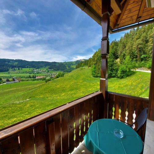 Bed & Breakfast Landgasthof Hasbauer