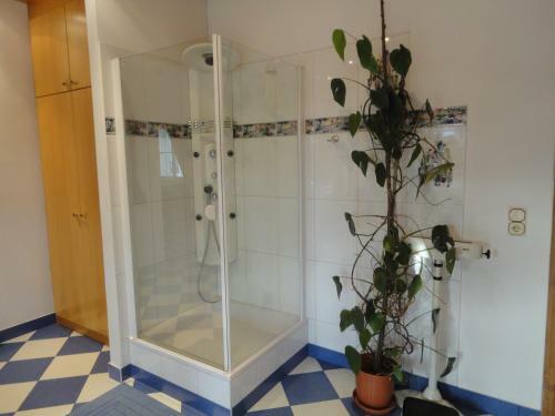 Bed & Breakfast Zeilinger Villa
