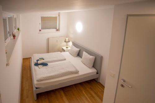 Innsbruck City Mountain View Apartment