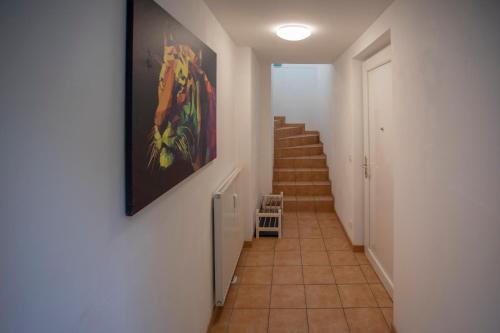 Innsbruck City Mountain View Apartment