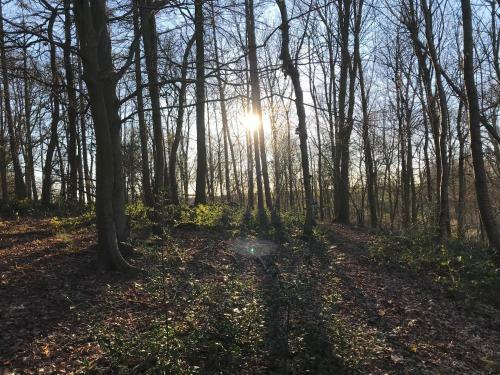Votre Pause Arbor�e - La Cabane Enchant�e