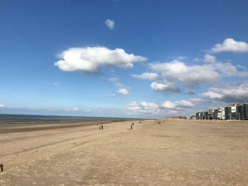 Apartamento Koksijde App Zeelaan C4