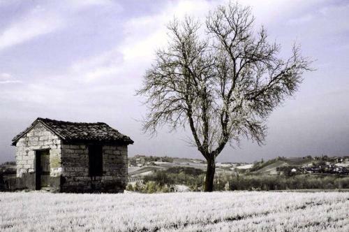 Apartamento B&B Monferrato La Casa Sui Tetti