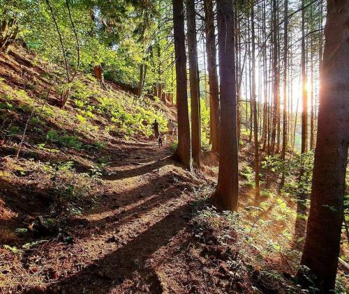 Apartamento Au Studio 339 Des Terrasses De Malmedy