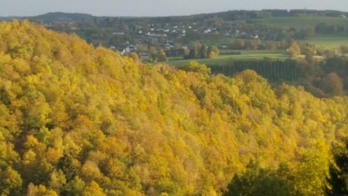 Apartamento Terrasses De Malmedy Le Clos 417