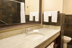 Hotel Drury Inn & Suites New Orleans