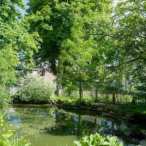 Apartamento Fell View