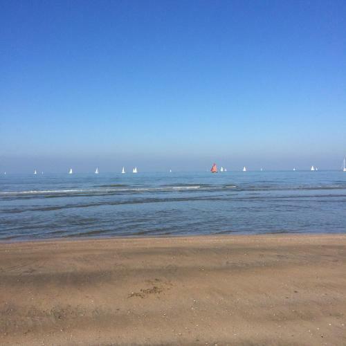 Zee Vakantievilla Begijnhof 5 De Haan
