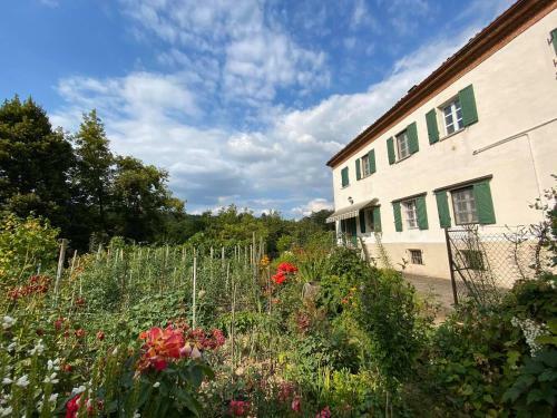 Apartamento Il Nocciolo