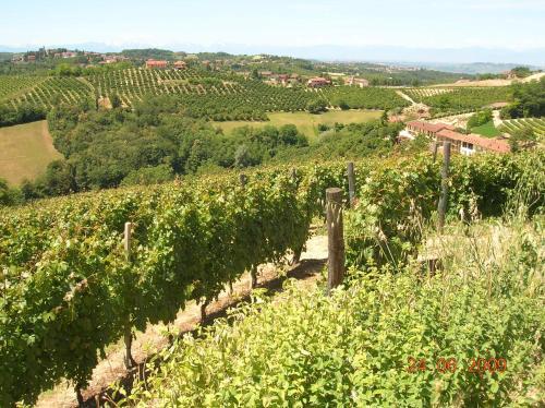 Tenuta Calabiana