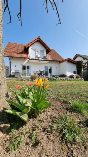 Ferienhaus Antiquarius