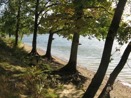 Apartamento Urlaub Im Naturgarten
