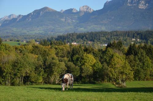 Hostal Chambres D'h�tes Et Yourte L'or�e Des Bornes