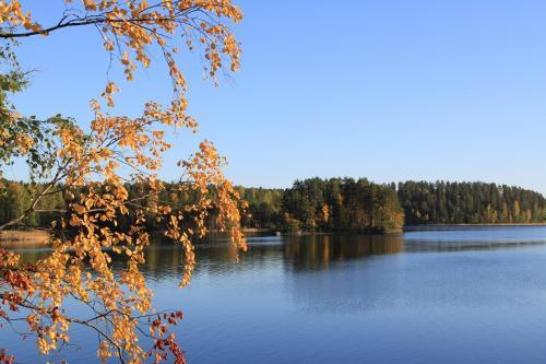 Pankkotupa 16-b